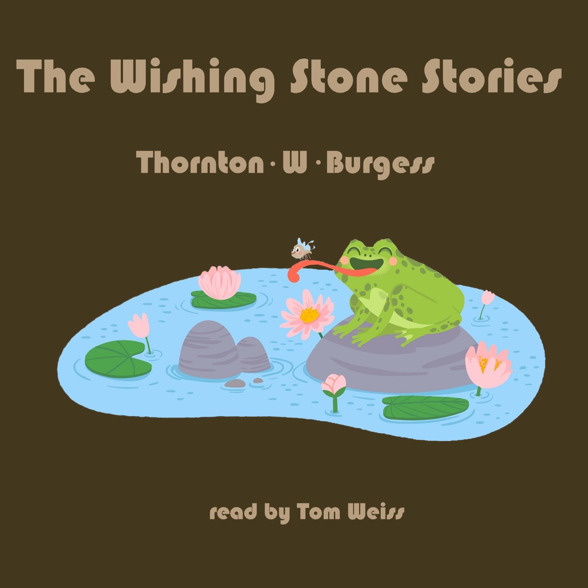 the wishing stone childrens book